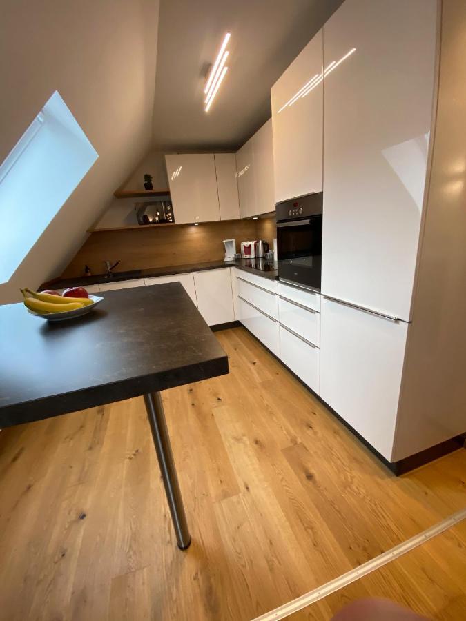 Modernes Penthouse, Nahe Wuerzburgアパートメント エクステリア 写真